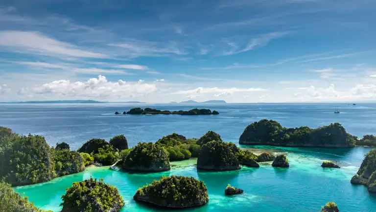 Luxury phinisi fleet anchored off a Komodo island